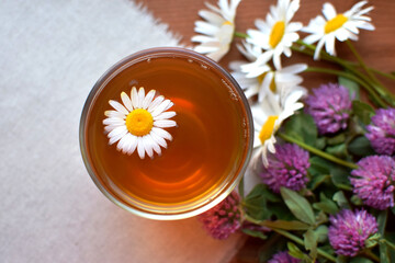 Chamomile medicinal tea in glass cup on wooden table with chamomile and red clover flowers. Top...