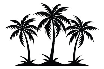 Three palm trees stand together in a silhouette, capturing a tropical island scene