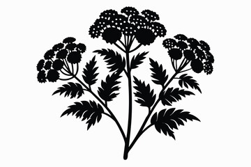 Obraz premium Silhouette depicts a plant with three flower heads and fernlike leaves