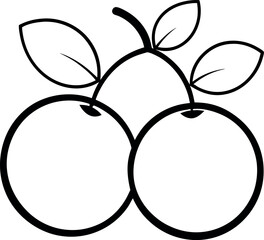 beach plum line art on transparent background.