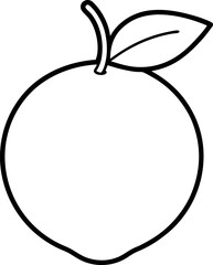Barbadine fruit line art on transparent background