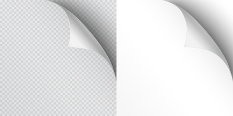 Curled page corners isolated on transparent and white background. Blank curve paper edge, bent sheet, note angle with realistic shadow. Vector rolled up stickers, peel banners