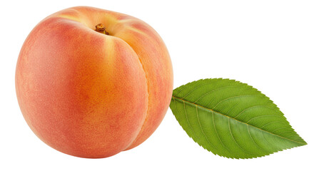 Isolated Ripe Peach with Green Leaf Detail