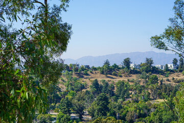 landscape with trees
