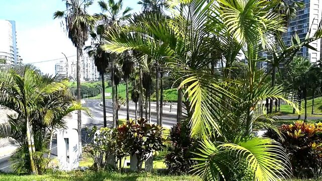 empty city and hightway(via expresa) with not people and car durant,covid 19 virus miraflores city lima peru,not car,not people,america souh america