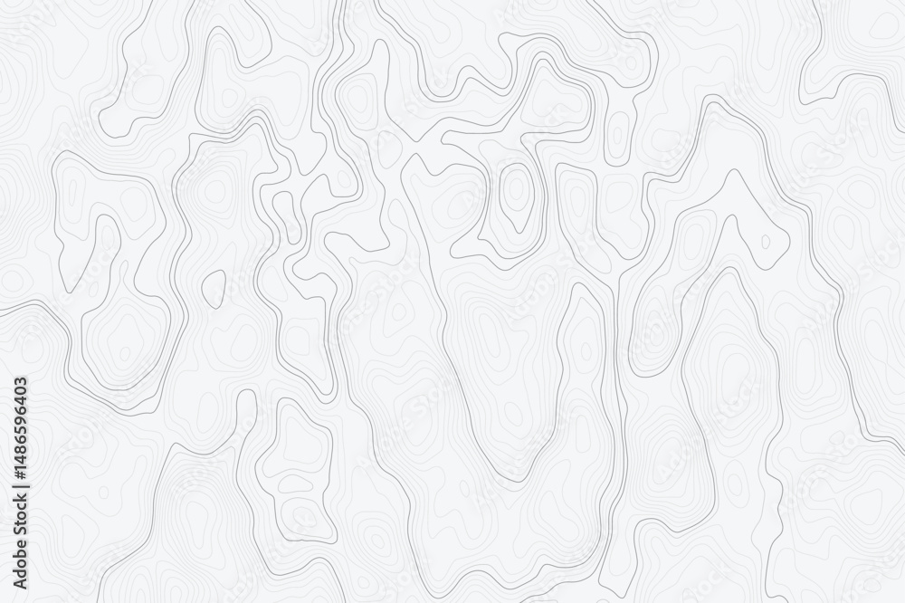 Poster light gray topographic map with contour wave lines. abstract representation of elevation and terrain