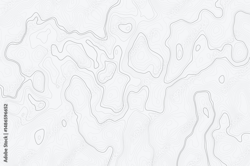Poster light gray topographic map with contour wave lines. abstract representation of elevation and terrain