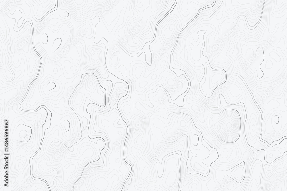 Poster light gray topographic map with contour wave lines. abstract representation of elevation and terrain