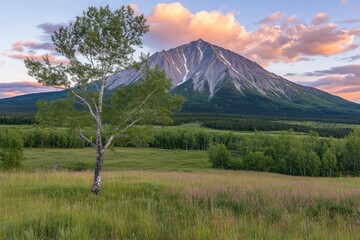 Obraz premium Majestic mountain peak at dawn, solitary tree in meadow