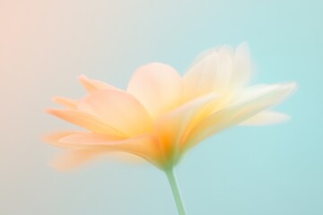 Fototapeta premium Captivating flower in soft pastel colors celebrating nature's gentle motion