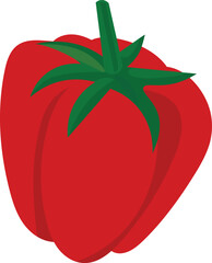 red bell pepper, clip art, vector illustration for background designers