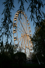 New Riga Ferris Wheel Photographed Through Tree Branches at Sunset