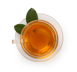 Cup of tea with fresh leaves isolated on white, top view