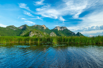 Scenic of swamps in national park. Nature background.