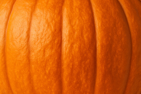 Pumpkin Skin Texture &ndash; High Resolution Macro Background of Orange Gourd Surface