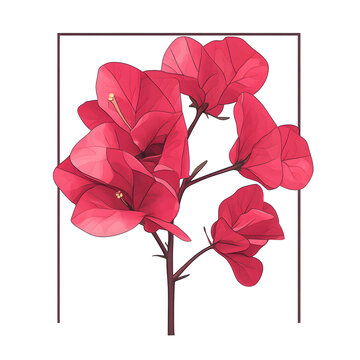 recommend clip art: Bougainvillea Flower Vector Icon: Graphic Isolated on White Background for Design Projects