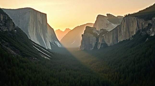 green trees in canyon at sunset with fog