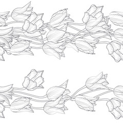 Stripe pattern with black and white linear tulips. Floral seamless border with hand drawn spring flowers. Vector illustration isolated on white background