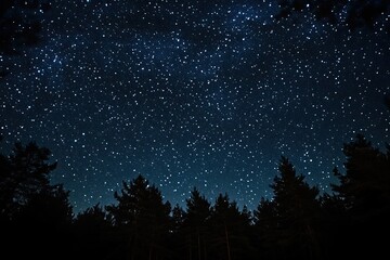 Fototapeta premium Starry night sky over dark forest