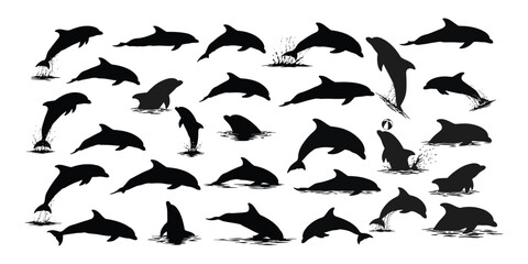 Dolphin Silhouette Vector Collection in Playful and Jumping Poses .

