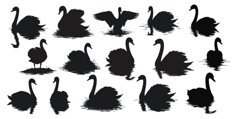 Black Swan Silhouette Vector Bundle | Flying, Swimming, Standing Swan PNG Clipart for Sublimation & Print Design .