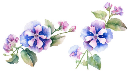 Watercolor Lungwort Flower Clipart &mdash; Hand-Painted Botanical Illustration on Transparent Background

