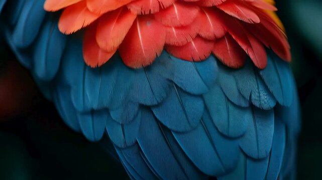 Vivid Scarlet Macaw Feathers Close-up Texture and Color