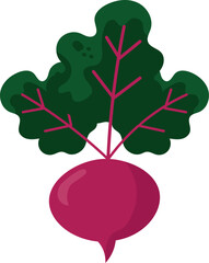 Vector illustration of a beetroot with leaves in a decorative style. Perfect for graphic design, food projects, natural products, packaging, and vegetable-themed digital materials.