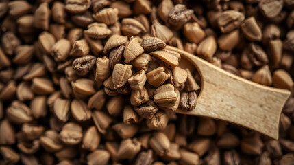 Fototapeta premium Dry seeds of Bakuchiol ingredient, macro shot, top down view.