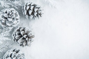 Minimalist winter wishcard snow covered pinecones icy textures and soft shadows elegant composition without text