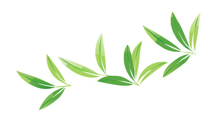 Fototapeta premium green leaves