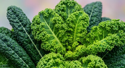 Obraz premium Fresh Vibrant Kale Leaves Displaying Textural Richness and Verdant Colors