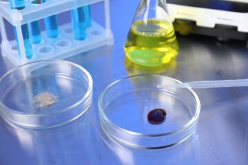 Petri dishes with samples and pipette on table, closeup