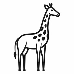 Obraz premium giraffe isolated on white background