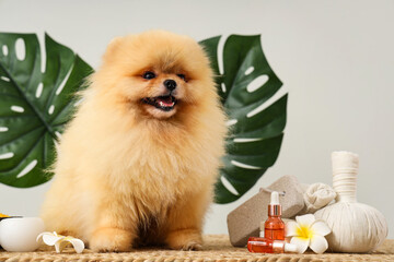 Cute Pomeranian dog with spa accessories on mat and palm leaves against light background