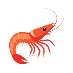 prawn isolated On vector art illustration