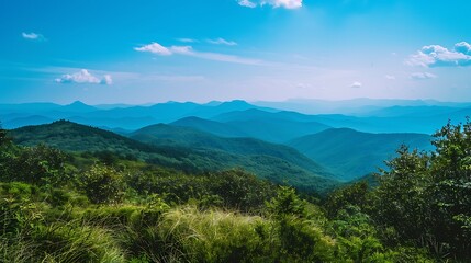 Panoramic View of Lush Green Forest Mountains Under a Bright Blue Sky