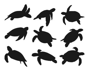silhouette animal turtle collection set on white background