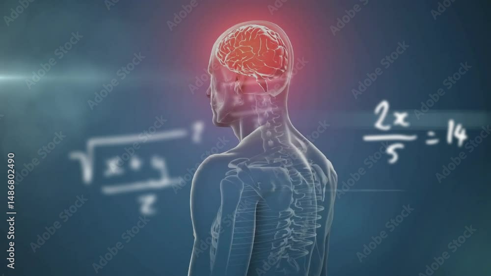 Poster anatomy figure showing skeleton outline and glowing brain with floating math equations in 3d render