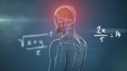 Anatomy figure showing skeleton outline and glowing brain with floating math equations in 3D render - Powered by Adobe