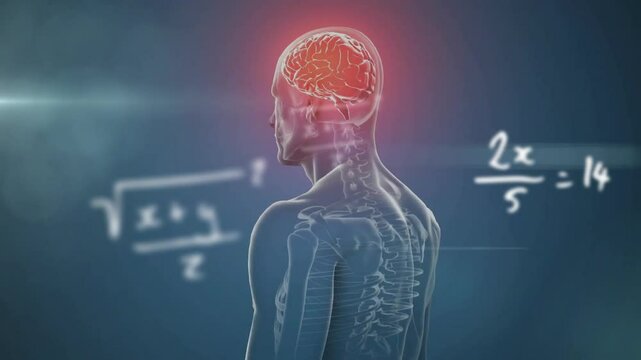 Anatomy figure showing skeleton outline and glowing brain with floating math equations in 3D render