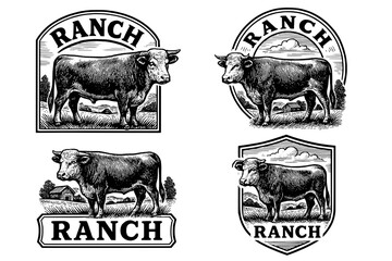 Vintage ranch logo collection featuring engraved cow illustrations designed for timeless branding