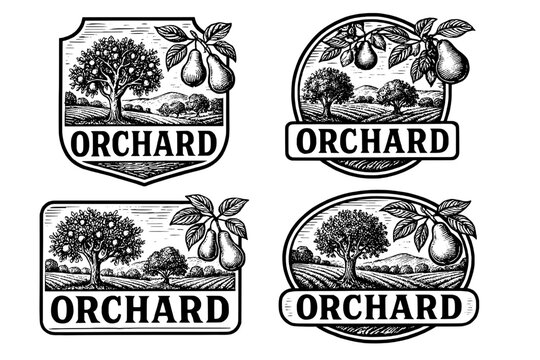 Vintage collection of engraved orchard logos showcasing trees and pears in artistic designs