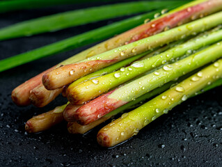 Fresh Organic Lemongrass: Vibrant Herbal Ingredient for Asian Cuisine & Healthy Eating