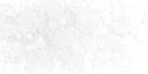 Fototapeta premium Elegant White Textured Background with Artistic Distortions and Depth