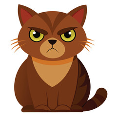 A brown, grumpy-looking cat with a flat face and short ears sits facing forward with white background.