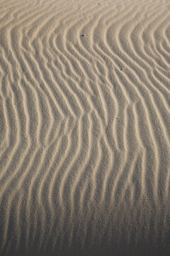 Sinuous ripples on sand