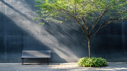 Gray bench and tree against concrete wall sunlight shadows minimalist urban nature photography