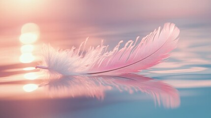 Pink feather floating on water at sunset soft pastel colors and serene reflection