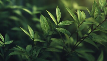 Fototapeta premium Minimalist botanical greenery composition with ultra high resolution clarity and natural plant texture details, rendered in 32K for modern nature-inspired design concepts